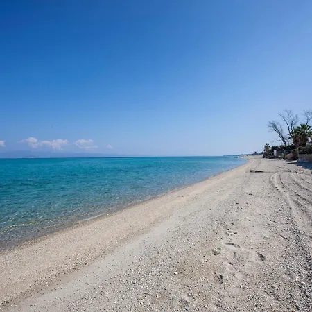 Calypso Front * Hanioti