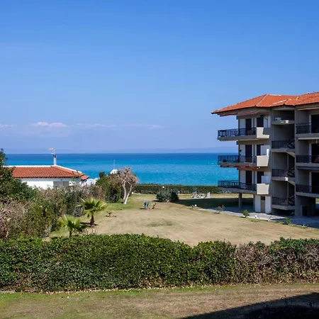 Calypso Front * 하니오티