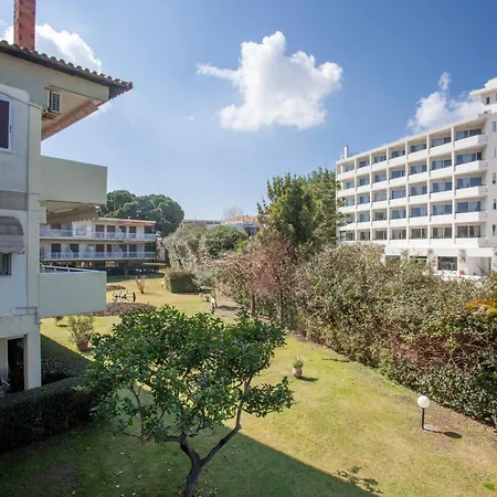 Calypso Front * Hanioti