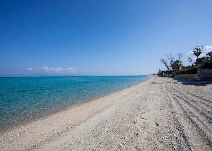 Calypso Front * Chaniotis